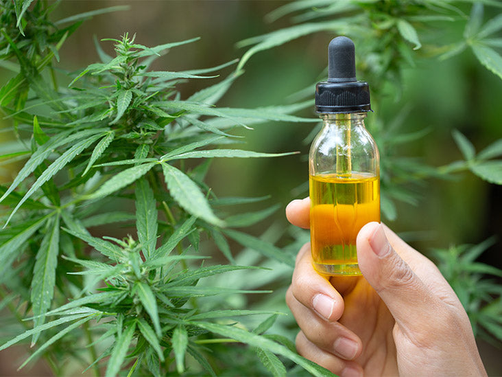 CBD vs BCP