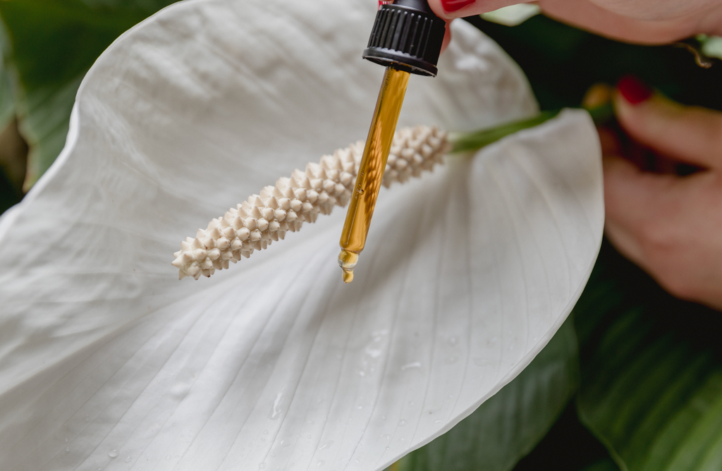 C60 Olive Oil vs Hemp-C60™