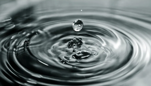 Understanding Purity Levels and Impurities on C60 Oil